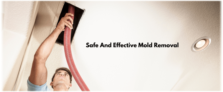 Air Duct Mold Removal in Lexington MA