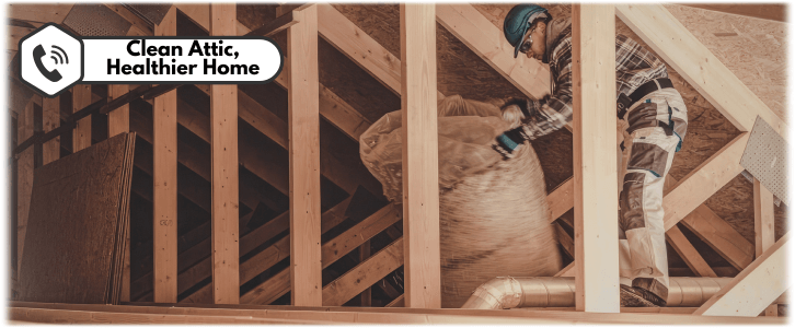 Attic Cleaning Lexington MA