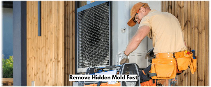 HVAC Mold Removal Lexington MA